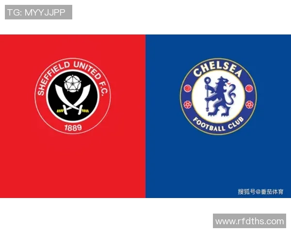 切尔西与谢菲尔德精彩对决360直播全程回顾与分析